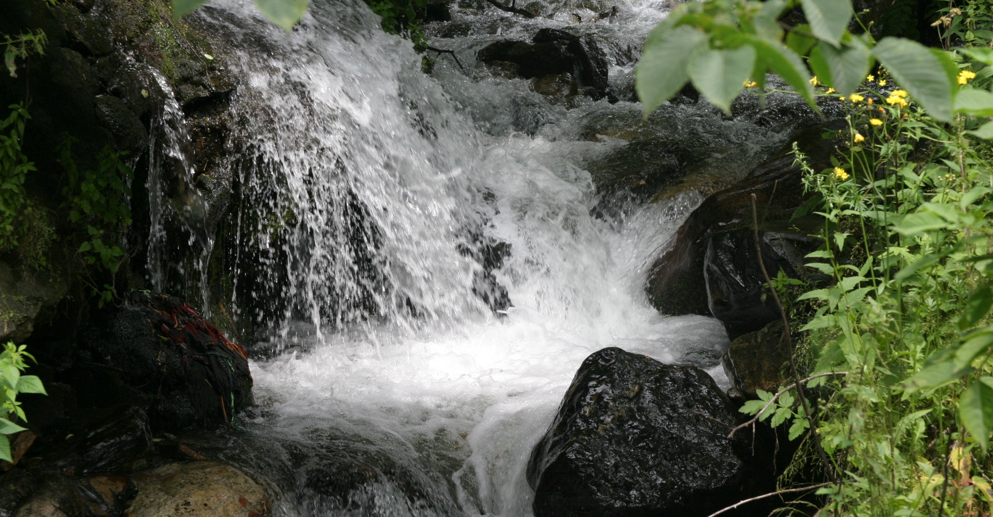 Rila